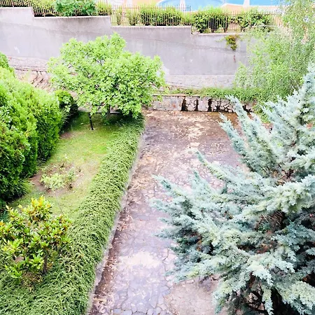 Royal Palm Moira's In スヴェティ・ヴラス