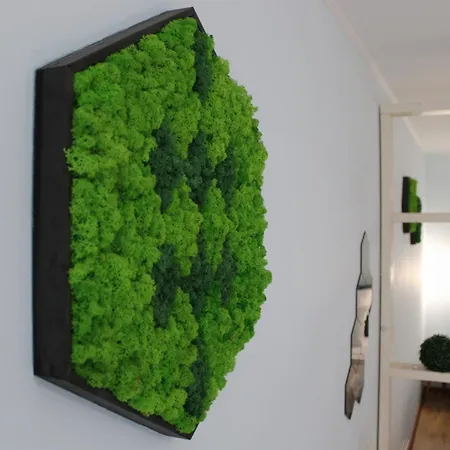 Royal Palm Moira's In *