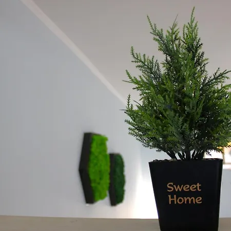 アパート Royal Palm Moira's In *