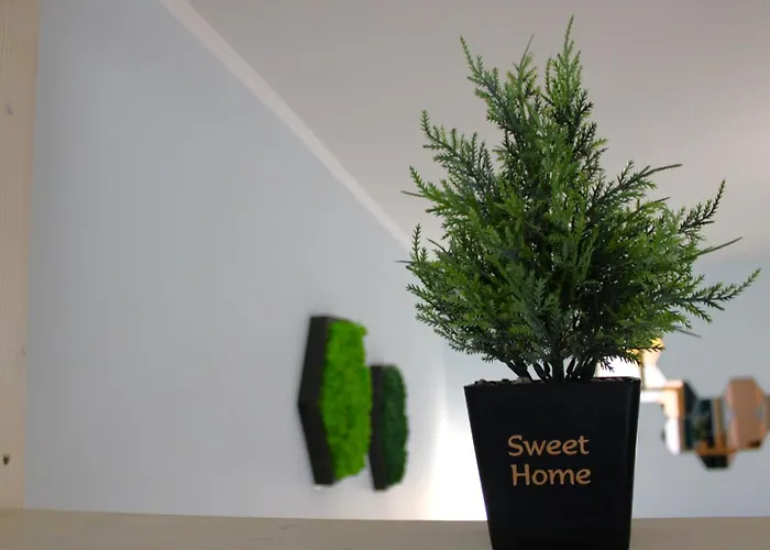 Appartement Royal Palm Moira's In *